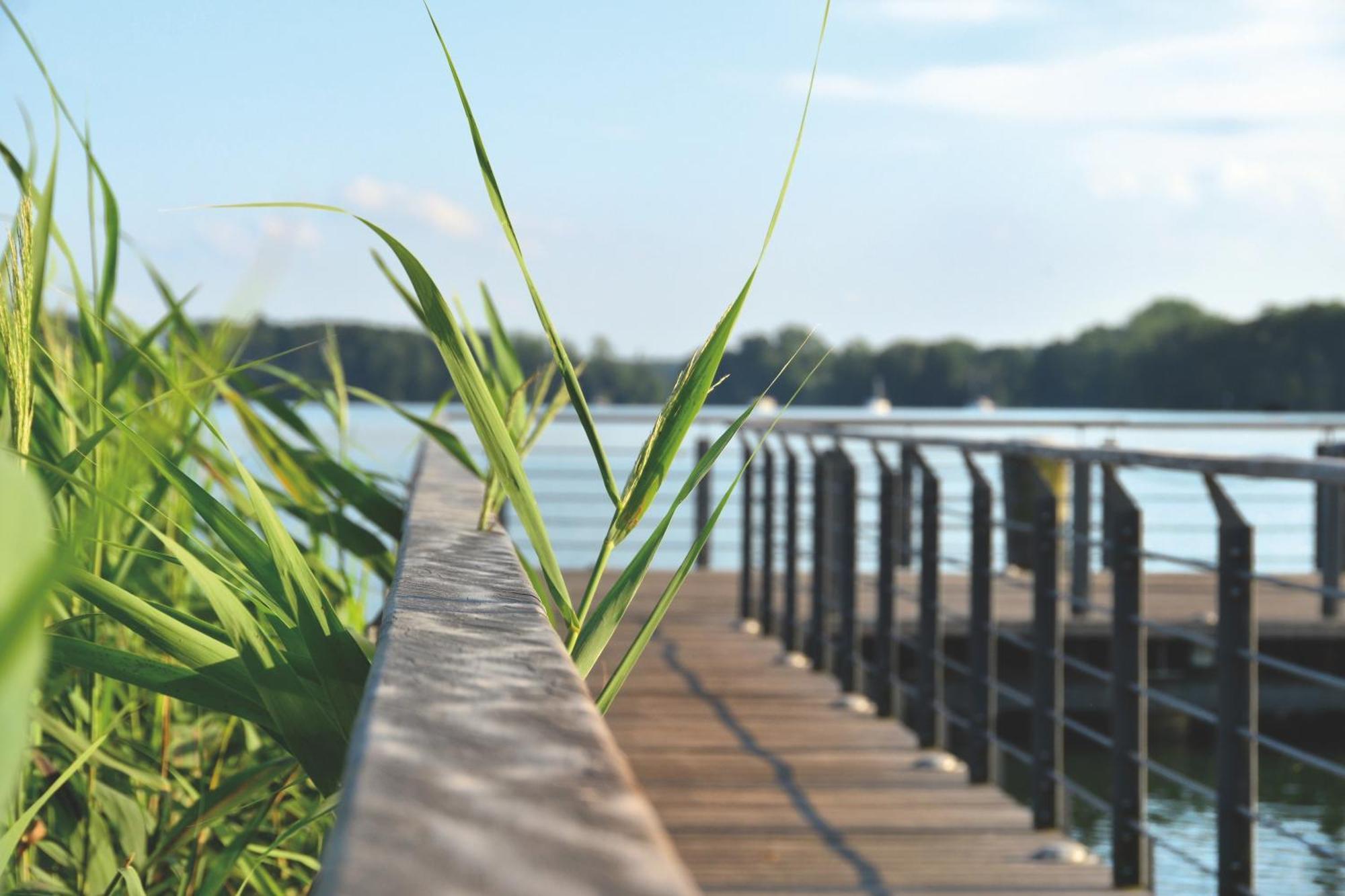 S2 In Bad Saarow, Seestr 2 Bad Saarow
